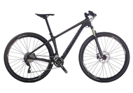 Methanol 29.6 SX